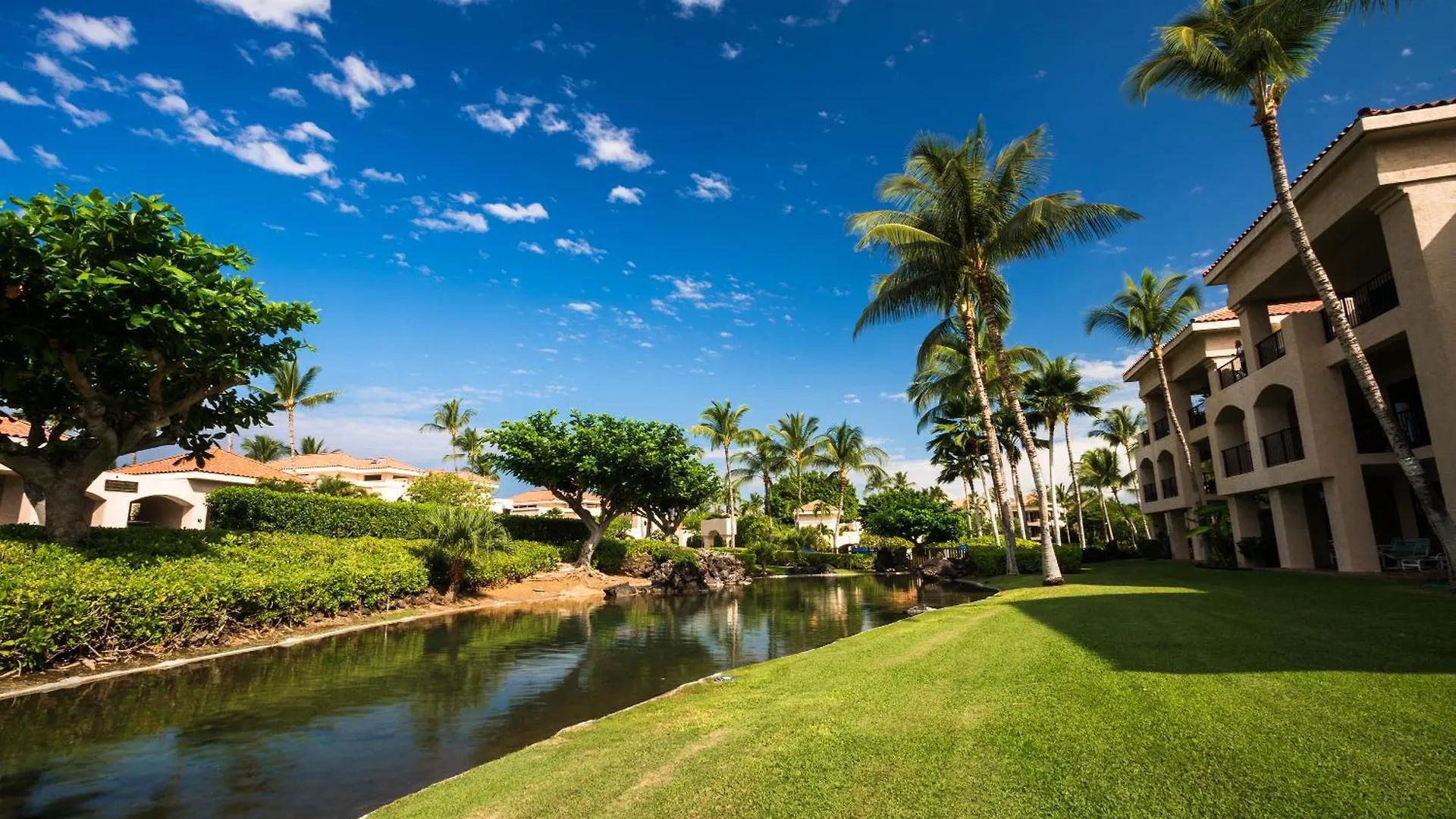 Shores At Waikoloa 224 - Mch United States